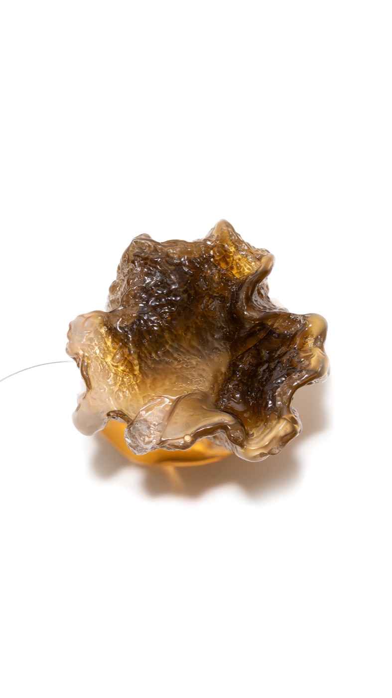 Kelp, a long ribboned bark-cast glass piece on white